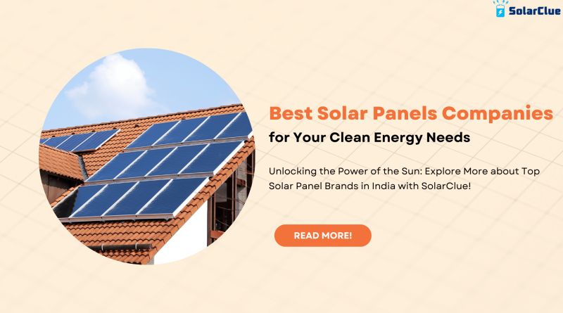 Best Solar Panels Companies for Your Clean Energy Needs