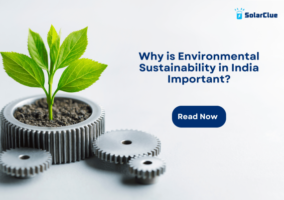 Why is Environmental Sustainability in India Important?