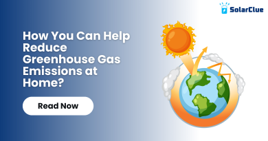 How You Can Help Reduce Greenhouse Gas Emissions at Home?