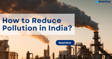 How to Reduce Pollution in India?