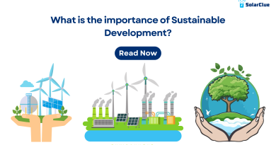 What is the importance of Sustainable Development?