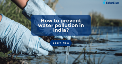How to prevent water pollution in India?