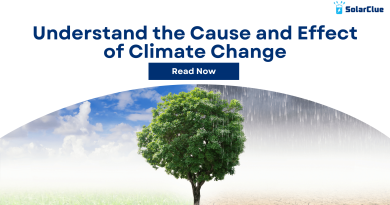 Understand the Cause and Effect of Climate Change