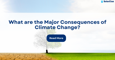 What are the Major Consequences of Climate Change?