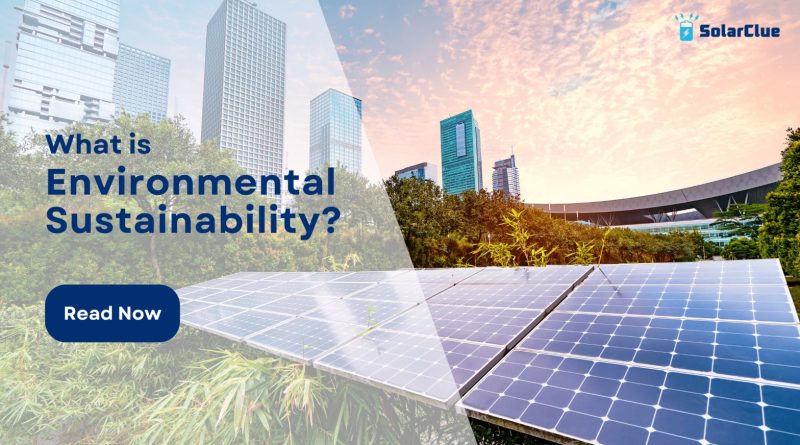 What is Environmental Sustainability?