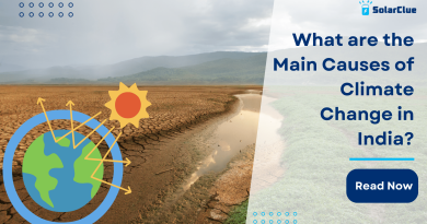 What are the Main Causes of Climate Change in India?