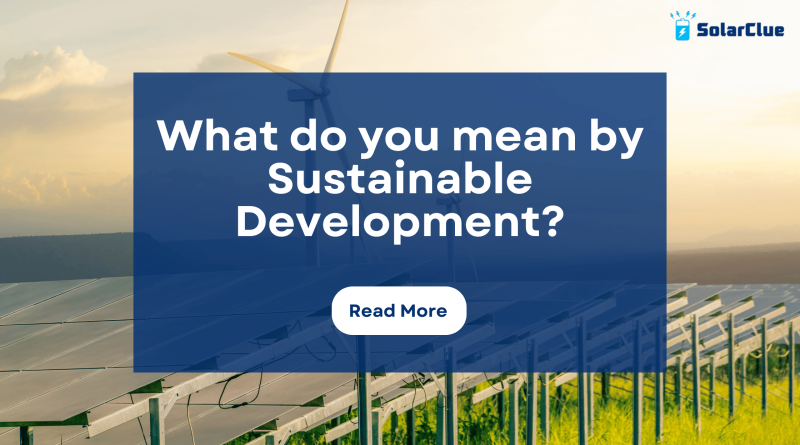What do you mean by Sustainable Development?