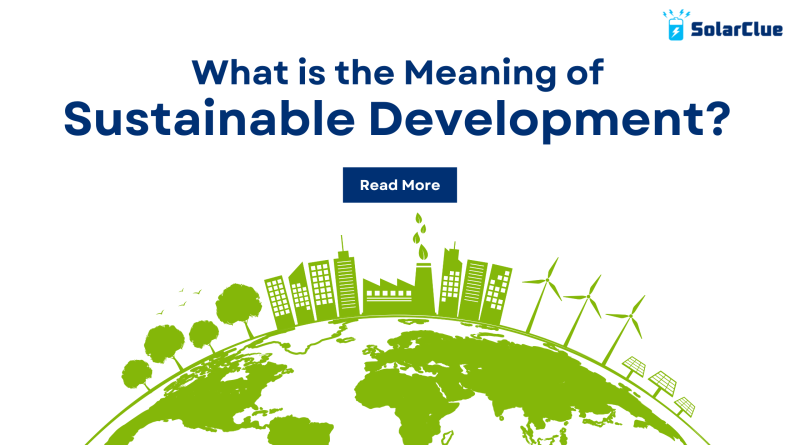What is the Meaning of Sustainable Development?