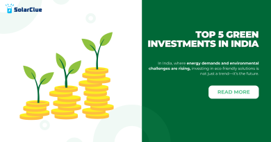 Top 5 Green Investments in India