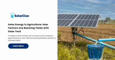 Solar Energy in Agriculture How Farmers Are Boosting Yields with Solar Tech