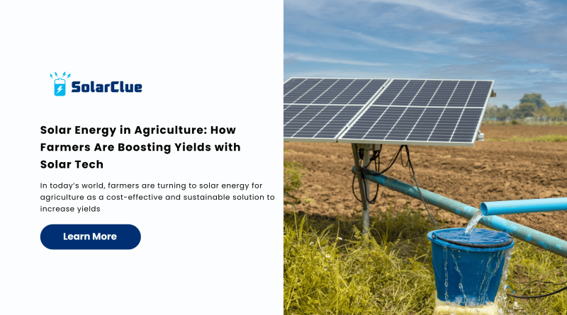 Solar Energy in Agriculture How Farmers Are Boosting Yields with Solar Tech