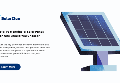 Bifacial vs Monofacial Solar Panel Which One Should You Choose