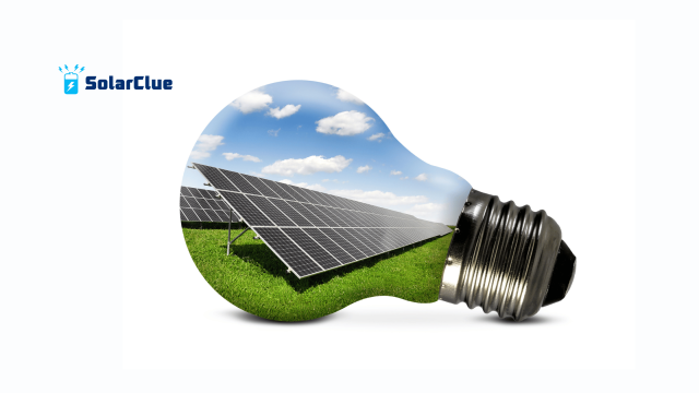 Choose the Best Company for Solar Panels