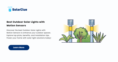 Best Outdoor Solar Lights with Motion Sensors