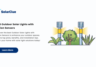 Best Outdoor Solar Lights with Motion Sensors