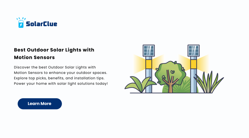 Best Outdoor Solar Lights with Motion Sensors
