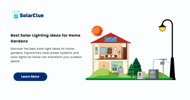 Best Solar Lighting Ideas for Home Gardens