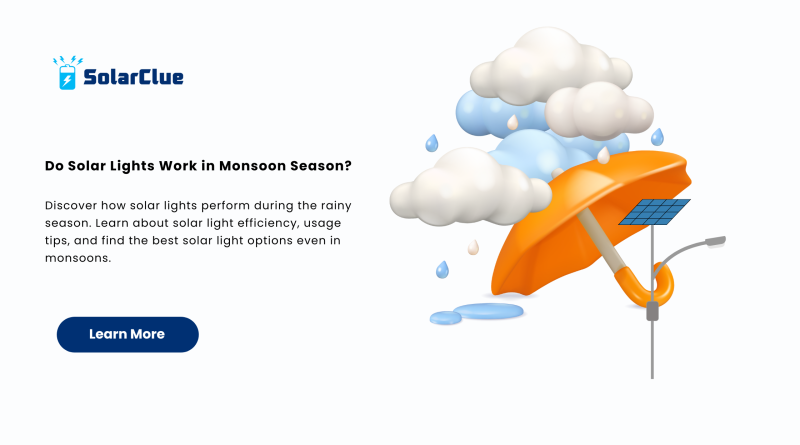 Do Solar Lights Work in Monsoon Season
