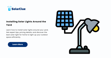 Installing Solar Lights Around the Yard