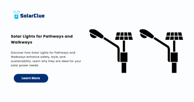 Solar Lights for Pathways and Walkways