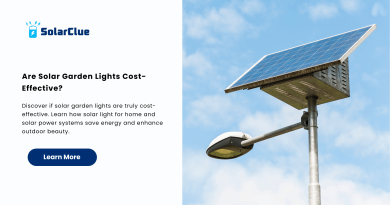 Are Solar Garden Lights Cost-Effective
