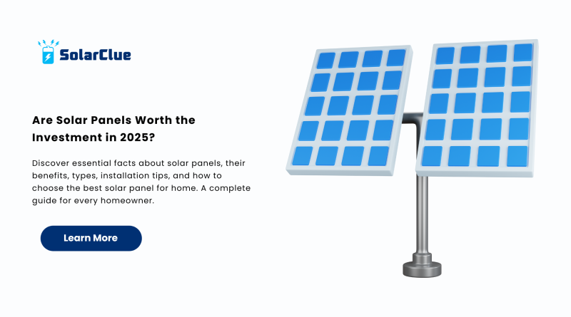 Are Solar Panels Worth the Investment in 2025
