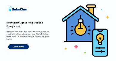 How Solar Lights Help Reduce Energy Use