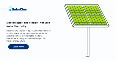 Meet Mrigtar The Village That Said No to Electricity