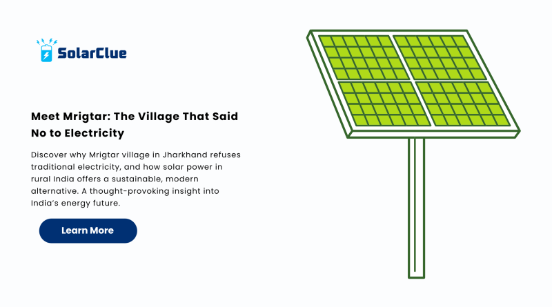 Meet Mrigtar The Village That Said No to Electricity