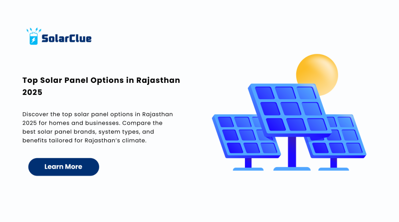 Top Solar Panel Options in Rajasthan 2025