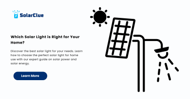 Which Solar Light is Right for Your Home