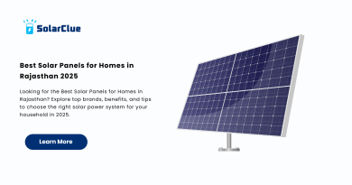 Best Solar Panels for Homes in Rajasthan 2025