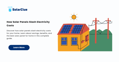 How Solar Panels Slash Electricity Costs