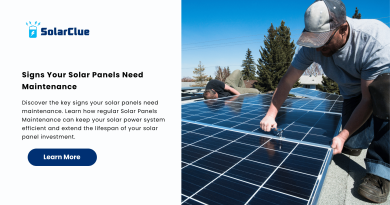 Signs Your Solar Panels Need Maintenance