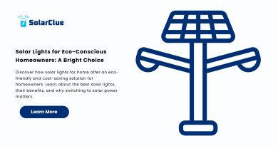 Solar Lights for Eco-Conscious Homeowners A Bright Choice