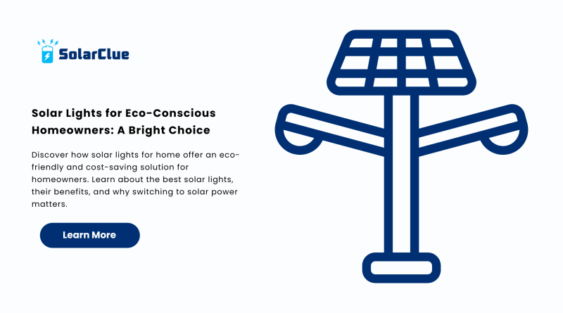 Solar Lights for Eco-Conscious Homeowners A Bright Choice