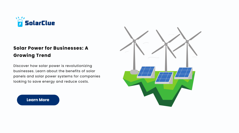 Solar Power for Businesses A Growing Trend