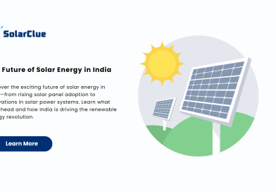 The Future of Solar Energy in India