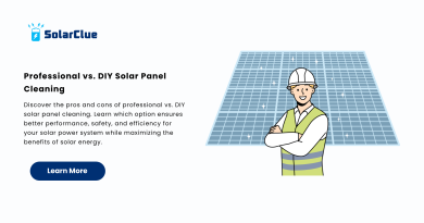 Professional vs. DIY Solar Panel Cleaning