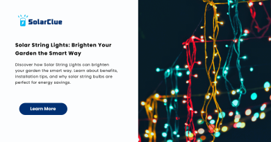 Solar String Lights Brighten Your Garden the Smart Way